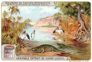 The Nile as it exits Lake Victoria by European School