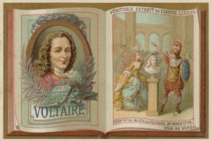 Voltaire by European School