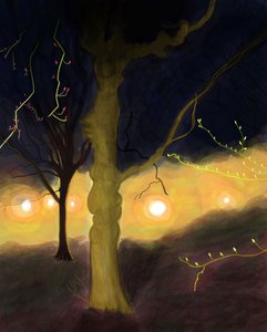 5:20 A.M. Prospect Park, Brooklyn by Evan Sklar