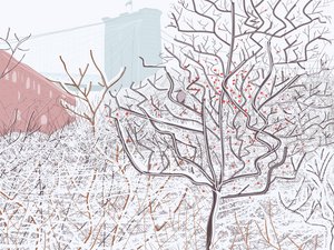 Bird In Snow, Brooklyn Bridge Park