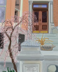 Blooming Cherry Tree, Brooklyn by Evan Sklar