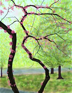 Blossoming Tree, Brooklyn by Evan Sklar