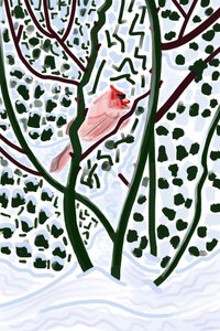 Cardinal In Snow by Evan Sklar
