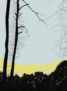 Cardinal In Tree by Evan Sklar