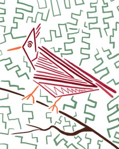 Cardinal by Evan Sklar