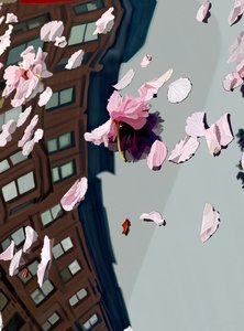 Cherry Blossoms Blown On Car Windshield