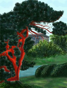 Conifer At Litchfield Villa, Prospect Park by Evan Sklar