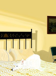 Dog resting on bed, c.2020-24 by Evan Sklar