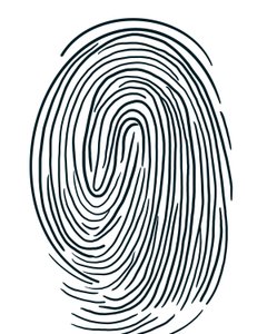 Drawing of a Fingerprint, Brooklyn