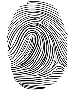 Drawing Of A Finger Print Brooklyn