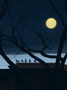 Five Pigeons on Roof