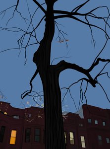 Houses and Tree at Night, Brooklyn by Evan Sklar