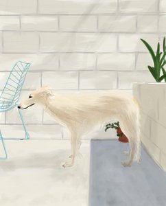 Penny on the Back Porch, 2017 by Evan Sklar