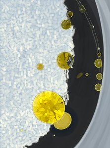 Rice Cooking In Pot With Drops of Olive Oil by Evan Sklar