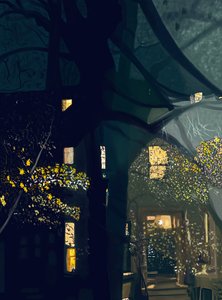 Shadows on Window and View Across Street at Night by Evan Sklar