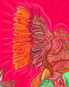 Single Sunflower by Evan Sklar