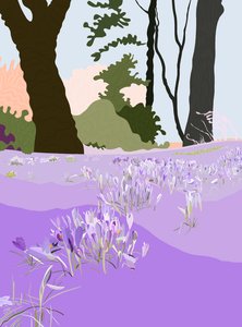 Spring Crocus