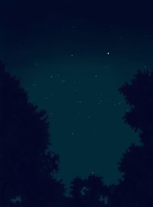 Stars in the Sky at Night and Outline of Trees by Evan Sklar