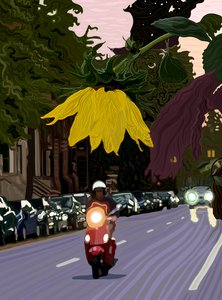 Sunflower and Man Driving Red Scooter by Evan Sklar