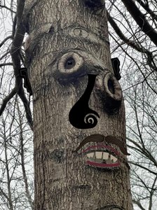 Tree Face by Evan Sklar