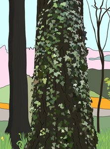 Tree with Ivy by Evan Sklar
