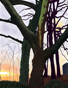 Trees, Prospect Park, Brooklyn by Evan Sklar