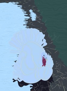 White Turkey In Snow At Farm by Evan Sklar