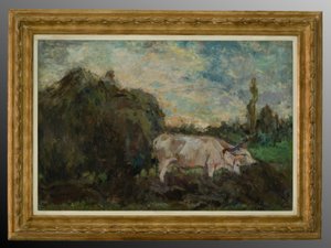 Oxen
