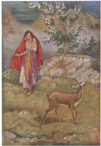 Amazed She Saw the Magic Deer