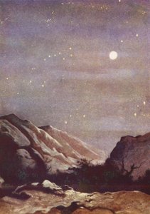 The Beautiful Night Sky