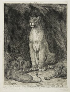Lioness Seated and Three Cubs by Evert van Muyden