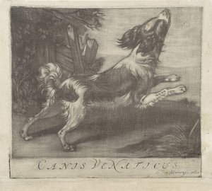 Jumping Dog, Canis Venaticus (title on object) by Evert van Sweinen