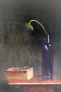 Wilted Bloom and Book