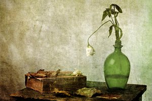 Withered Rose Old Book