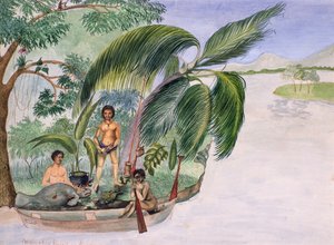 Manati Hunt