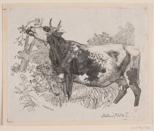 A Cow Defoliating the Branches of a Tree by F. Hendriksen