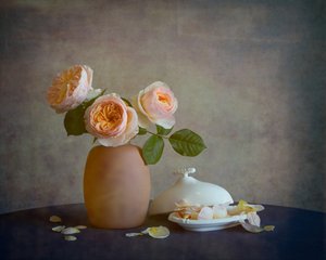 Blush Roses Still Life