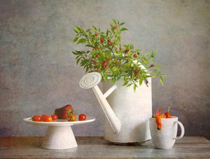 Rustic Chili Pepper Harvest
