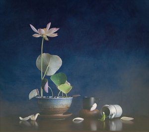 Serene Lotus Still Life by Fangping Zhou