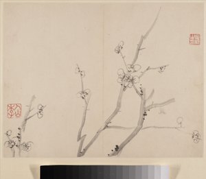 Album of Blossoming Plum