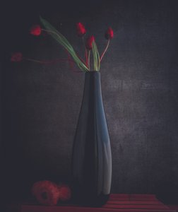 Elegant Red Tulips by Farid Kazamil