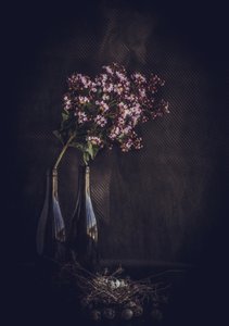 Rustic Floral Still Life by Farid Kazamil