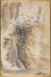 Flowering Bush above an Eroded Bank by Federico Barocci