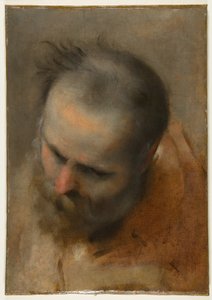 Head of a Bearded Man Looking to Lower Left (Nicodemus) by Federico Barocci