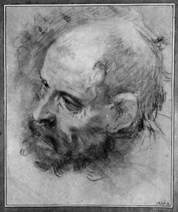 Head of a Bearded Man Turned to the Left and Inclined to the Side by Federico Barocci