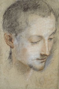 Study of a Young Man