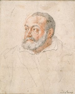 Portrait of a Man, Barozzi da Vignola