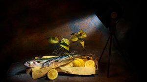Dramatic Mackerel Still Life