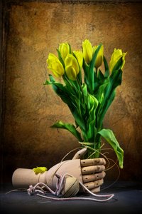 Golden Tulips And Hand
