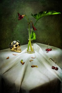Gothic Skull Vanitas by Felice Angelino